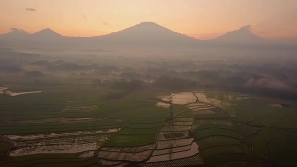 aerial drone view of rice fields in the morning with the background of Mountain, Central Java, Indon