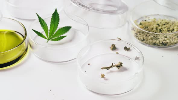 Science Safety Research Technology of Cannabis