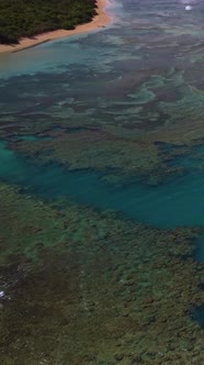 Aerial Vertical Shot of Ocean Reefs with Waves Crashing Along Beach