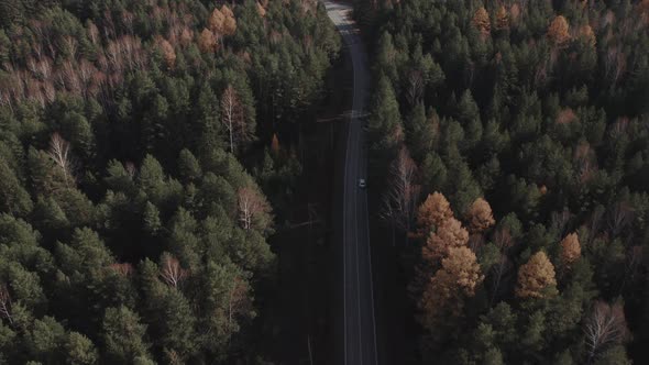 Curve asphalt road with cars between autumn forest in Ural