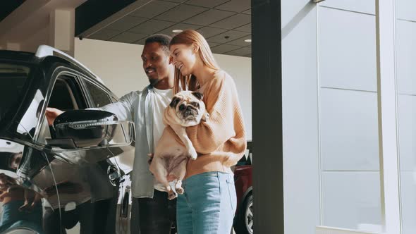 Stylish Couple Choosing New Automobile While Walking By Luxury Cars in Car