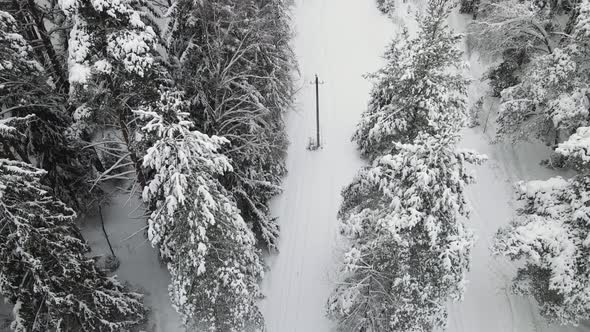 New Year's Winter Forest is Fantastically Covered with Snow Aerial View