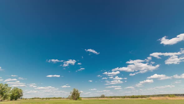 Green Field and Blue Sky with White Cloud Timelapse