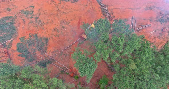 Before Construction a Dozer is Used to Clean Up Deforested Forest Land and Prepare It for New