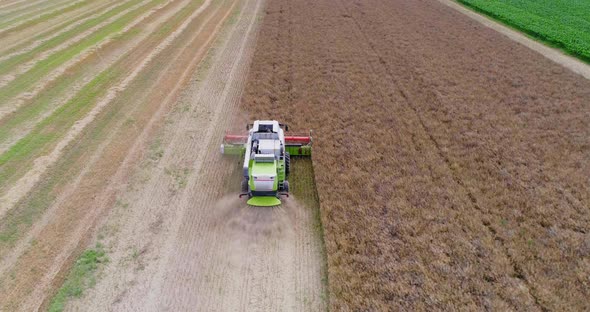 Agriculture Harvester Harvesting Field Aerial View