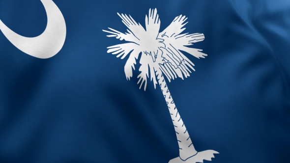 South Carolina State Flag