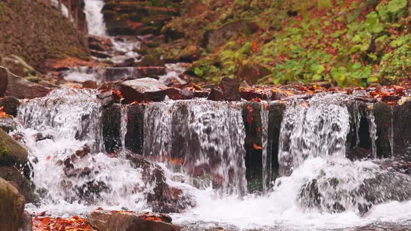 Beautiful Waterfall Shipot Closeup in the Autumn Forest