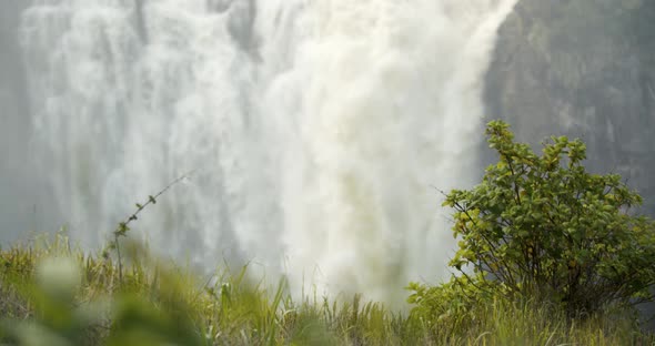 Small bush and grass with gorgeous Victoria Falls on the background, 4k