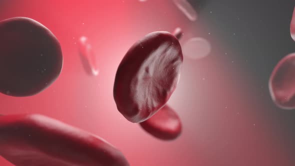 Blood Cell Micro