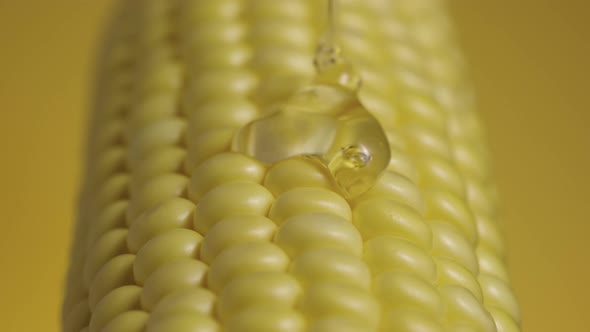 Trickle of Thick Viscous Honey or Oil Flows Onto the Grains of Ripe Yellow Corn