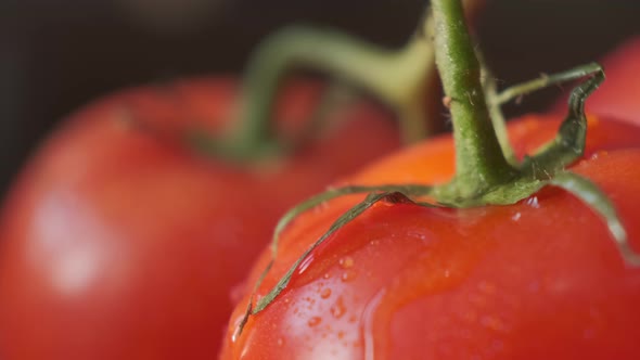 Beautiful Red Tomatoes Water Drops Macro Video