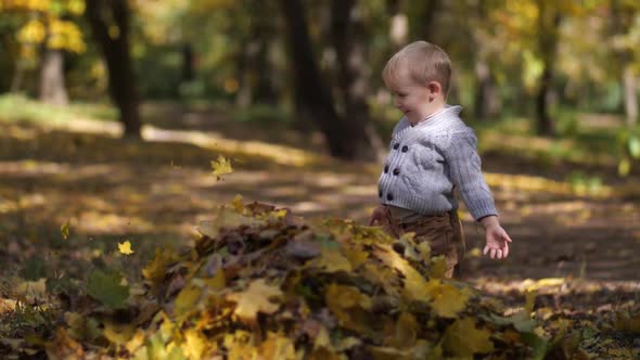 Cute Toddler Boy Playing with Leaves in Park