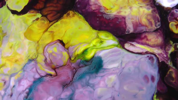 Abstract Colour Arty Paint Background Texture 81 alt