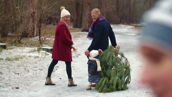 Family Carries a Tree in the Park