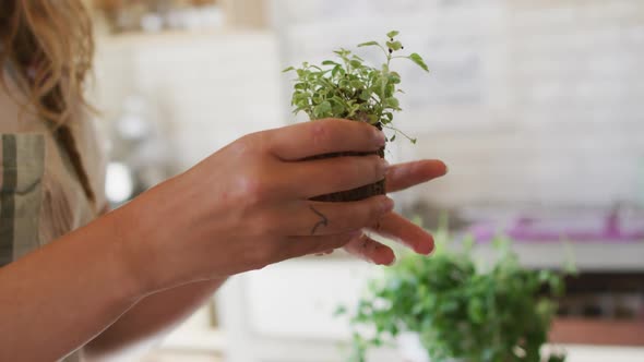 Smiling caucasian woman tending to potted plants standing in sunny cottage kitchen