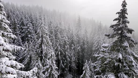 Flying over snow covered forest in Oregon