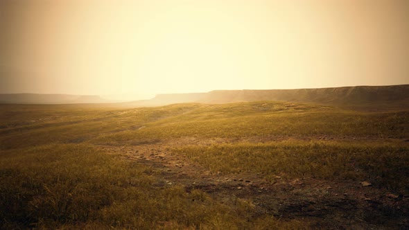 Dry Yellow Grass on the Rocky Mountain with Heavy Fog