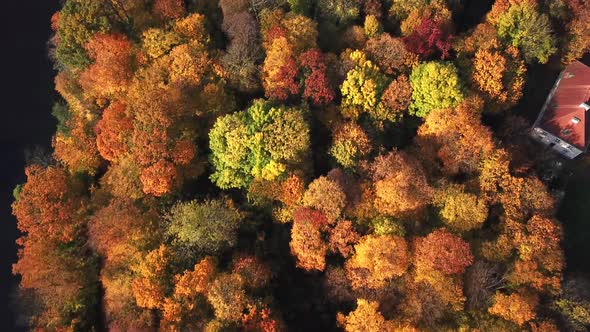 Flying over the beautiful Castle in autumn Forest. Located in landscape park with green trees forest