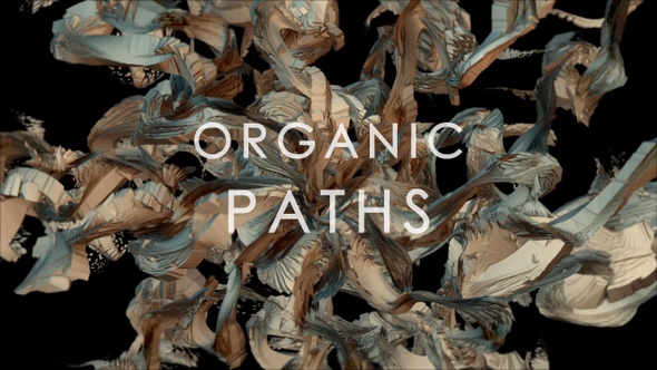 Organic Paths Vj Loops pack 