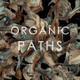 Organic Paths Vj Loops pack  - VideoHive Item for Sale
