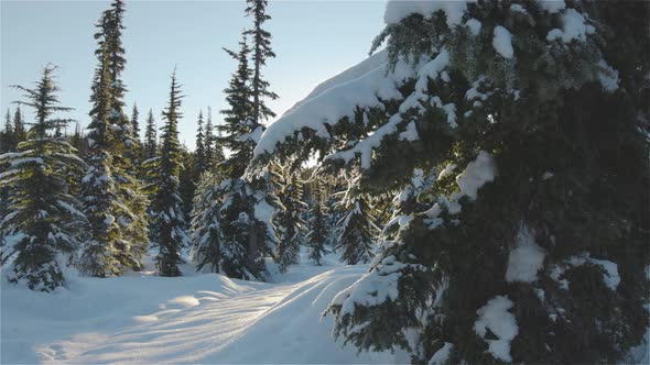 Beautiful Snow Covered Landscape in Canadian Mountain Nature