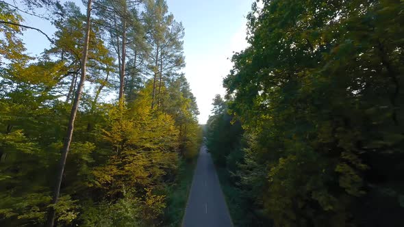 Smooth Flight Close to Branches of Trees Along the Road