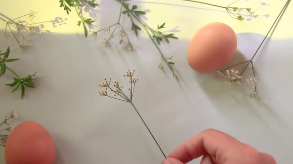 Arranging flowers and eggs to create a simple Easter and Spring themed background