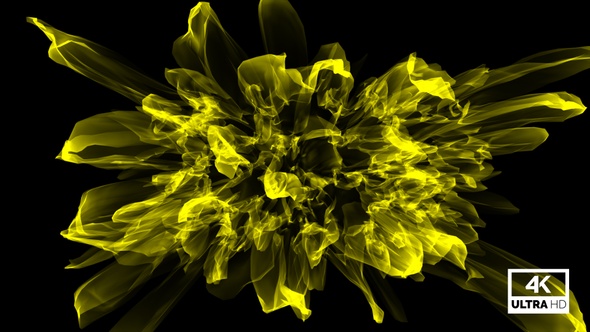 Abstract Flower Blooming Animation Yellow V4