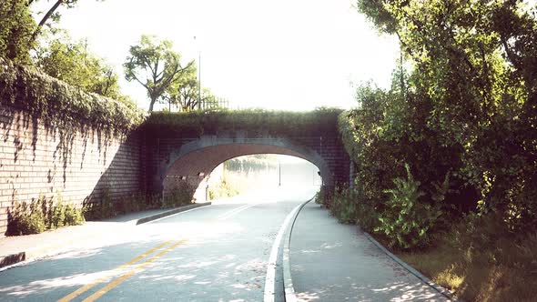 Arch Bridge with Living Bush Branches in Park