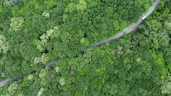 Aerial View Over Forest with a Road Going Through with Car