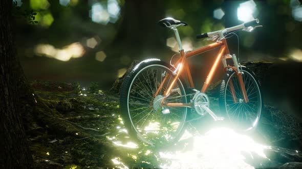 Mountain Bike on the Forest Path alt