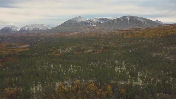 Scandinavian mountains with autumn forest