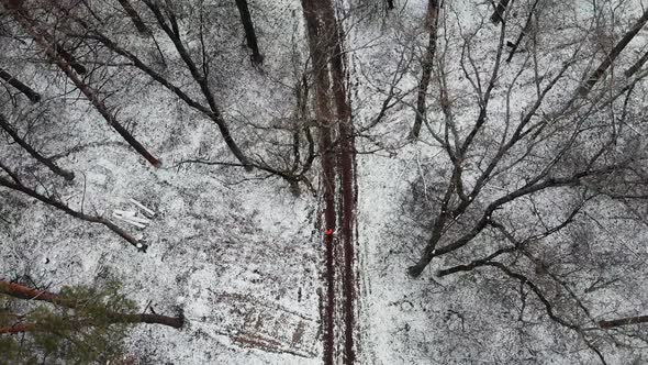 Woman jogging in forest, Young female athlete running in park, Trail run concept