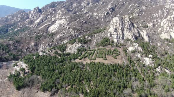 Mountain scenery, tree trimming logo, Phoenix Mountain