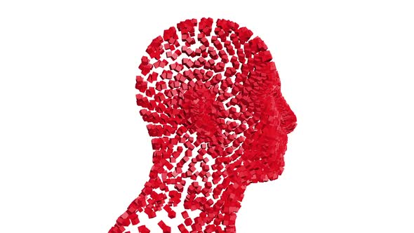 Human Head From Rotating Cubes