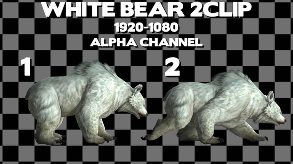 White Bear 2 Clip Alpha Loop alt