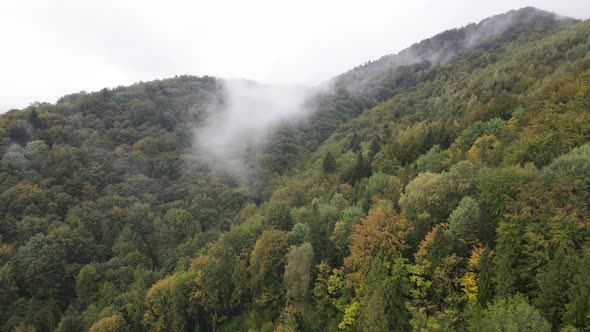 Aerial View of the Carpathian Mountains in Autumn. Ukraine