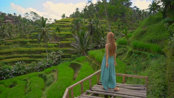 Slowmotion Shot of a Beautiful Young Woman in a Blue Dress Visits Famous Tegalalang Rice Terraces in