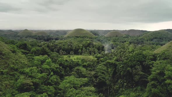 Philippines Mounts Aerial View: Chocolate Hills with Abundant Grass, Palm Trees, Woods at Spring Day