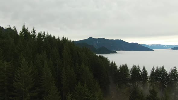 Aerial View of Canadian Mountain Landscape Covered in Fog Over Harrison Lake