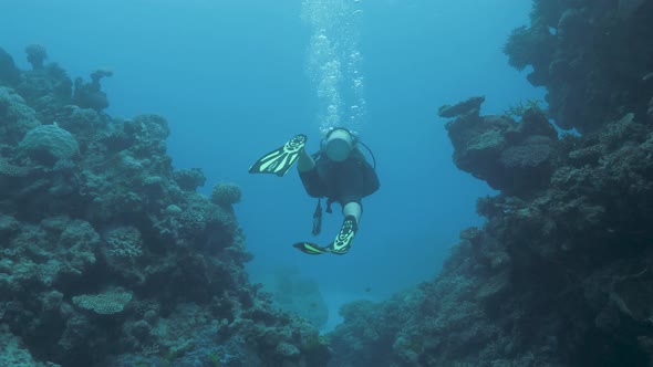 A female scuba diver swims through a section of reef structure in clear blue tropical water