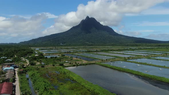 Prawn Fish Farm Aerial