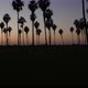 Silhouettes Palm Trees and People Walk on Beach at Sunset California Coast USA - VideoHive Item for Sale
