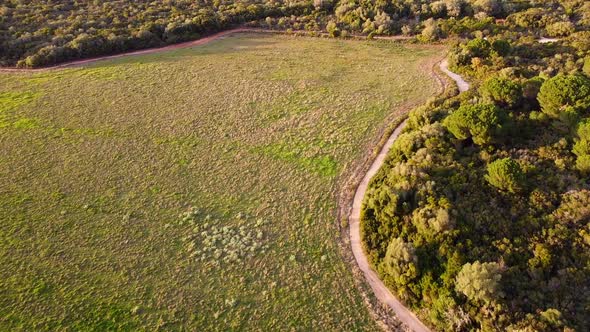 Aerial Footage Following Beautiful Wavy Road