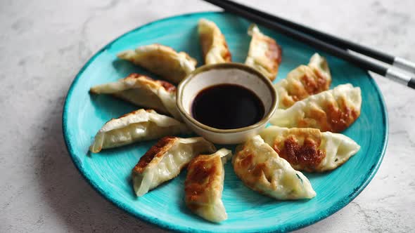 Traditional Asian Dumplings Gyozas on Turqoise Ceramic Plate