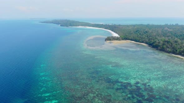 Aerial drone: uncontaminated coastline tropical beach caribbean sea coral reef palm tree woodland