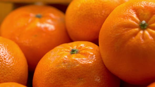Lots of Tangerines on the Market Close-up. The Camera Is Moving.