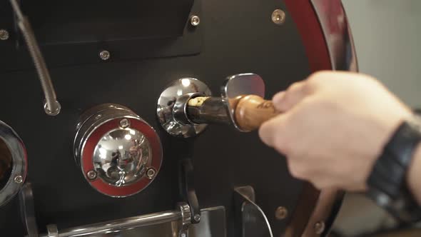 Male Hands Controlling the Process of Preparing Coffee Beans
