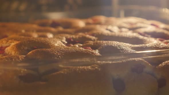 Cherry cake in the oven slowly baking and growing 4K 2160p UHD footage - Tasty cherry cake in the ov