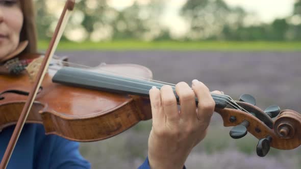 Adult Woman Violinist Playing Violin on Summer Lavender Field in Evening Closeup